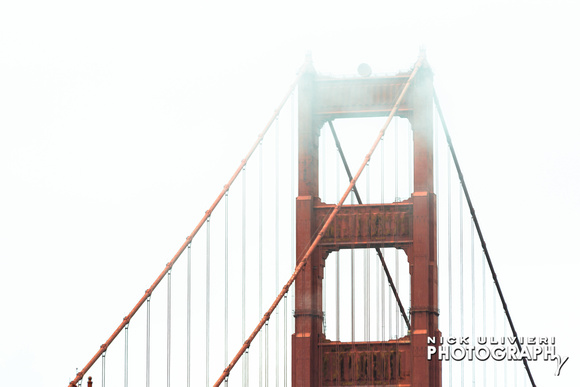 San_Francisco-2014-HI-4