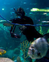 (1.11.13)-Shedd_Aquarium-HI-2