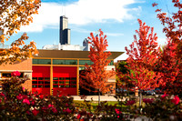 Fall at the Firehouse