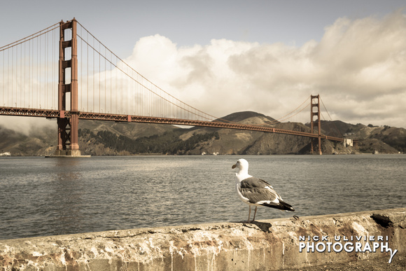 San_Francisco-2014-HI-24