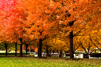 (11.4.13)-Fall_In_The_Parks-HI-15