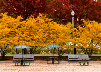 (11.4.13)-Fall_In_The_Parks-HI-19