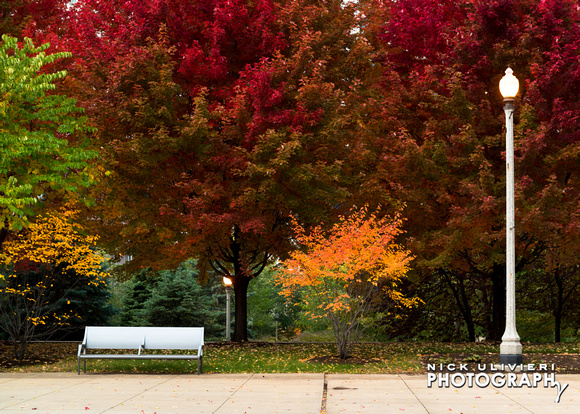 (11.4.13)-Fall_In_The_Parks-HI-21