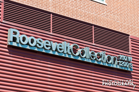 (7.12.11)Museum_Campus-Roosevelt-HI-91