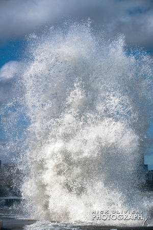 (4.7.25)-31st_Waves-HI-7