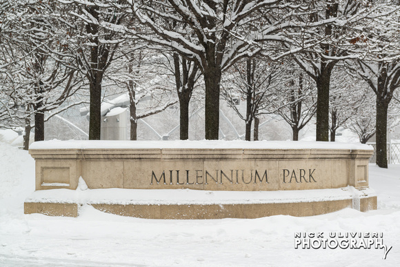 (1.3.14)-Winter_Millennium_Park-HI-11